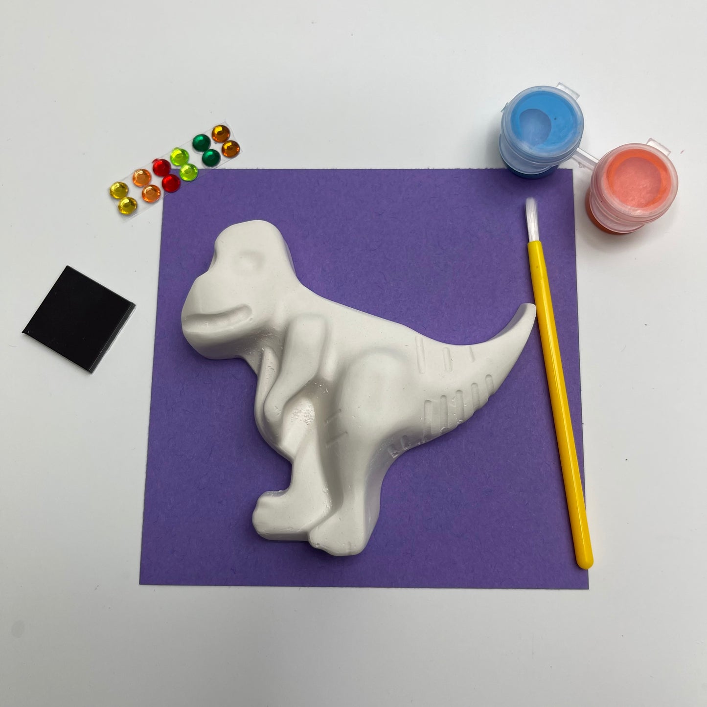 Dinosaur Kits - Personalised Party Bag Fillers - Optional Magnet